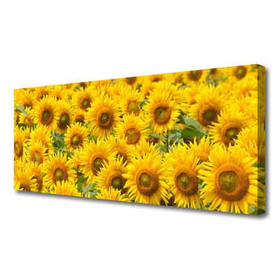 Canvas Kunstdruck Sonnenblumen Pflanzen