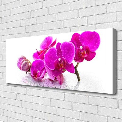 Canvas Kunstdruck Blumen Pflanzen