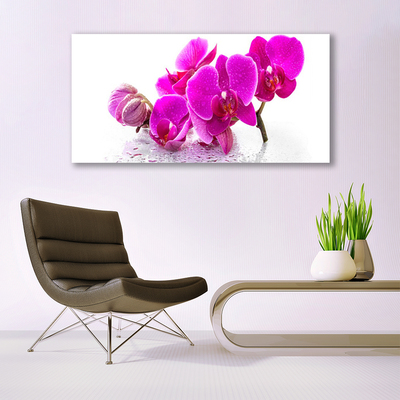 Canvas Kunstdruck Blumen Pflanzen