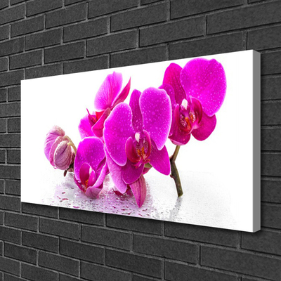 Canvas Kunstdruck Blumen Pflanzen