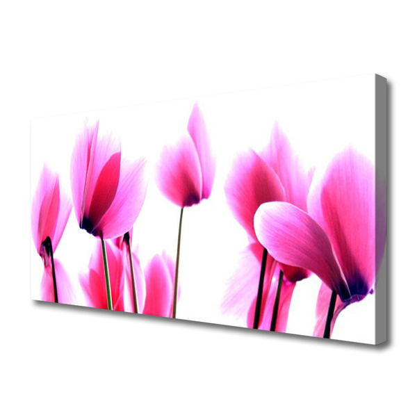 Canvas Kunstdruck Blumen Pflanzen