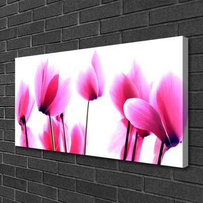 Canvas Kunstdruck Blumen Pflanzen