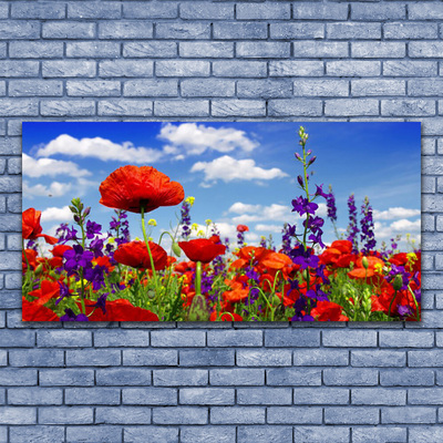 Canvas Kunstdruck Tulpen Natur