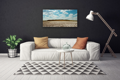 Canvas Kunstdruck Wüste Landschaft