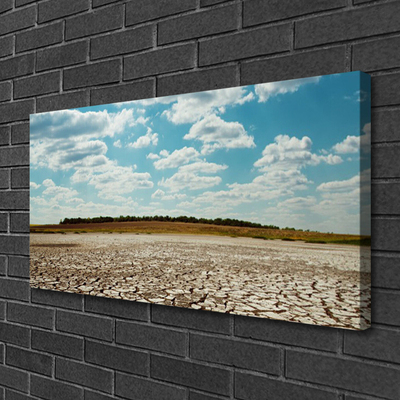 Canvas Kunstdruck Wüste Landschaft