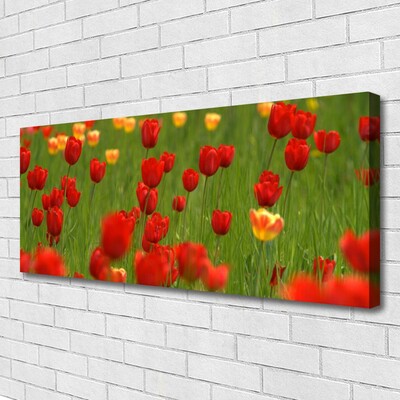 Canvas Kunstdruck Tulpen Natur