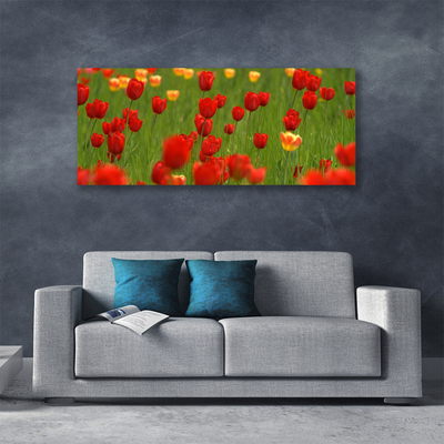 Canvas Kunstdruck Tulpen Natur