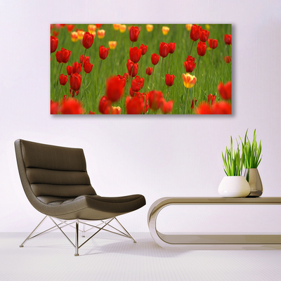 Canvas Kunstdruck Tulpen Natur