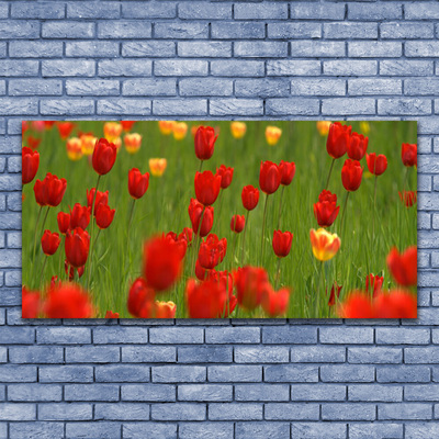 Canvas Kunstdruck Tulpen Natur