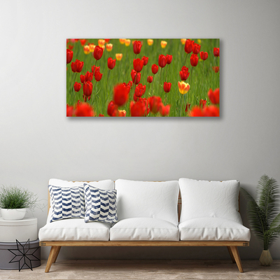 Canvas Kunstdruck Tulpen Natur