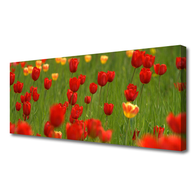 Canvas Kunstdruck Tulpen Natur