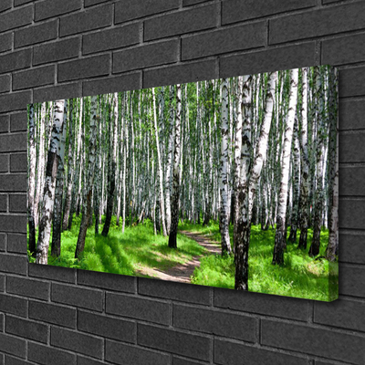 Canvas Kunstdruck Bäume Gras Natur