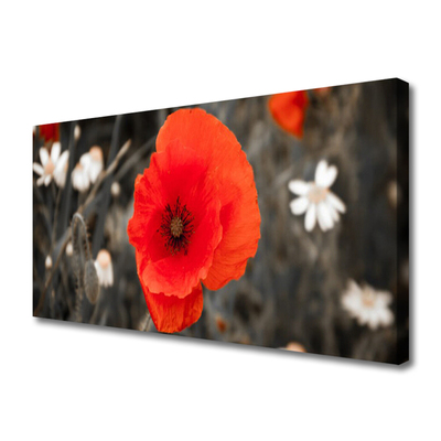 Canvas Kunstdruck Blume Pflanzen