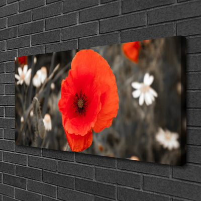 Canvas Kunstdruck Blume Pflanzen