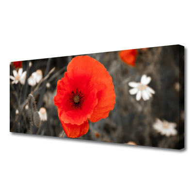 Canvas Kunstdruck Blume Pflanzen