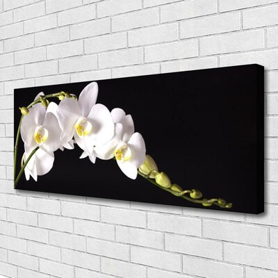 Canvas Kunstdruck Blumen Pflanzen