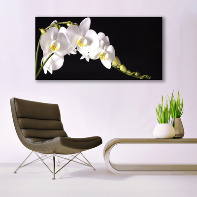 Canvas Kunstdruck Blumen Pflanzen