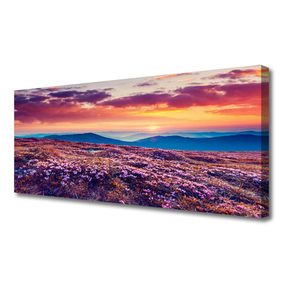 Canvas Kunstdruck Wiese Gebirge Blumen Natur