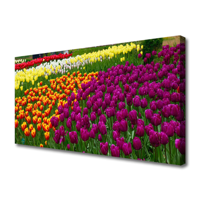 Canvas Kunstdruck Tulpen Pflanzen