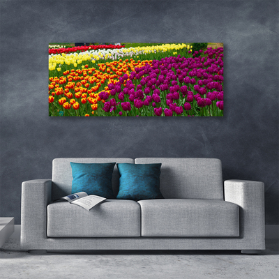 Canvas Kunstdruck Tulpen Pflanzen