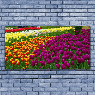 Canvas Kunstdruck Tulpen Pflanzen