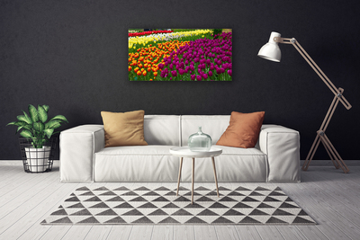 Canvas Kunstdruck Tulpen Pflanzen