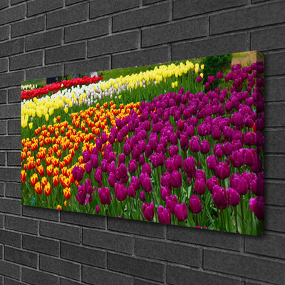 Canvas Kunstdruck Tulpen Pflanzen