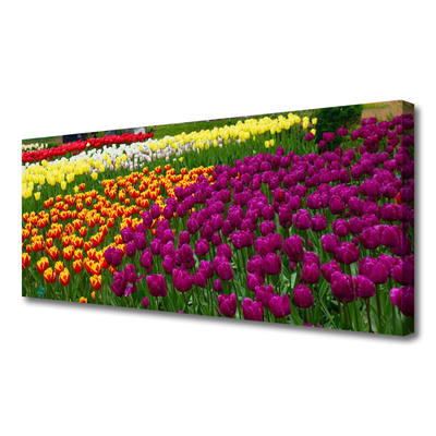 Canvas Kunstdruck Tulpen Pflanzen