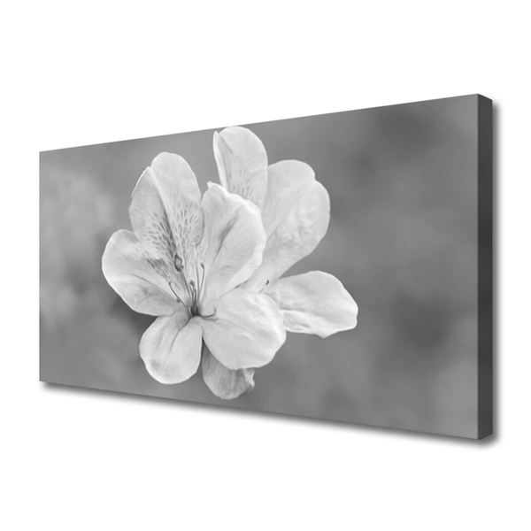 Canvas Kunstdruck Blumen Pflanzen
