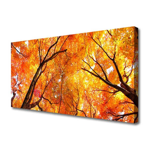 Canvas Kunstdruck Bäume Natur