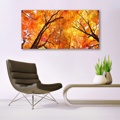 Canvas Kunstdruck Bäume Natur