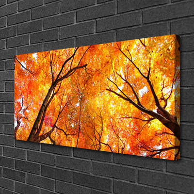 Canvas Kunstdruck Bäume Natur