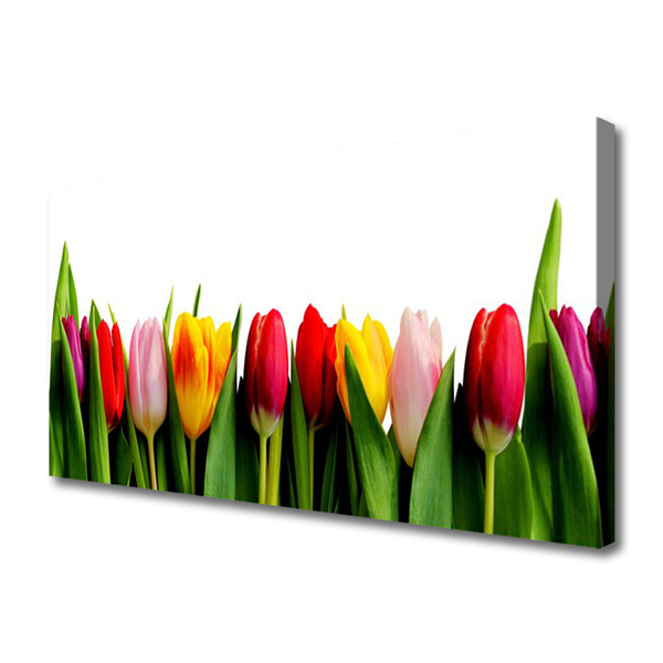 Canvas Kunstdruck Tulpen Pflanzen