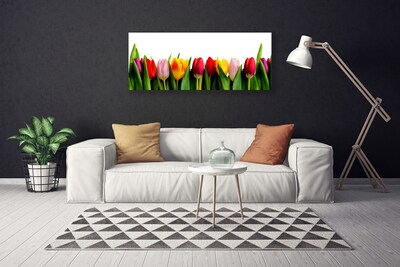 Canvas Kunstdruck Tulpen Pflanzen