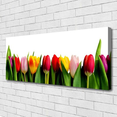 Canvas Kunstdruck Tulpen Pflanzen