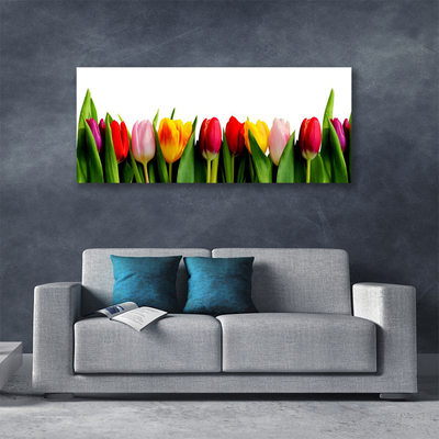 Canvas Kunstdruck Tulpen Pflanzen