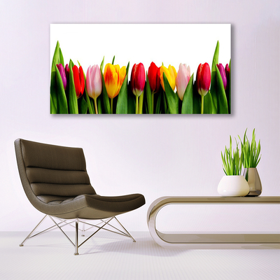 Canvas Kunstdruck Tulpen Pflanzen