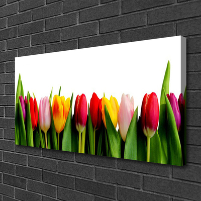 Canvas Kunstdruck Tulpen Pflanzen