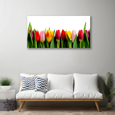 Canvas Kunstdruck Tulpen Pflanzen