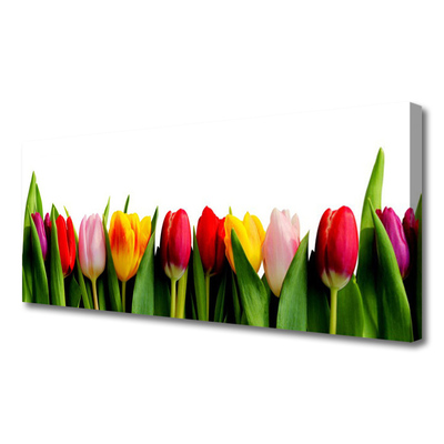 Canvas Kunstdruck Tulpen Pflanzen