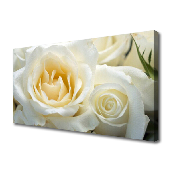 Canvas Kunstdruck Roses Pflanzen