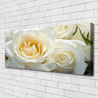 Canvas Kunstdruck Roses Pflanzen