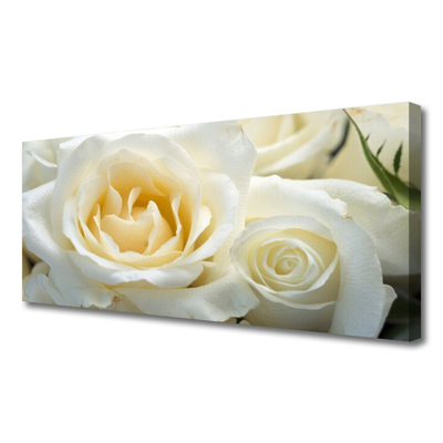 Canvas Kunstdruck Roses Pflanzen