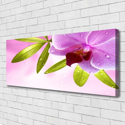 Canvas Kunstdruck Blume Blätter Pflanzen