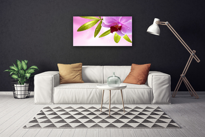 Canvas Kunstdruck Blume Blätter Pflanzen