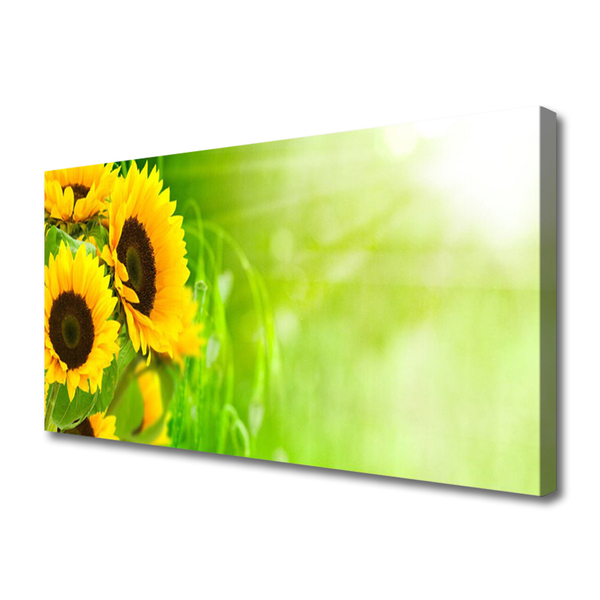 Canvas Kunstdruck Sonnenblumen Pflanzen