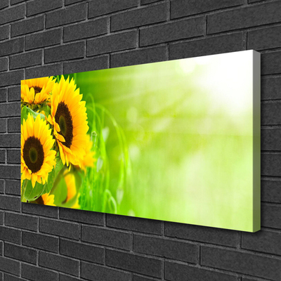 Canvas Kunstdruck Sonnenblumen Pflanzen