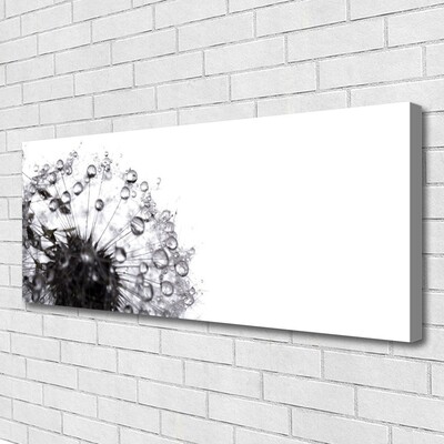 Canvas Kunstdruck Pusteblume Pflanzen