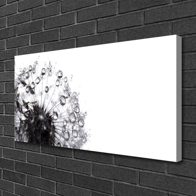 Canvas Kunstdruck Pusteblume Pflanzen