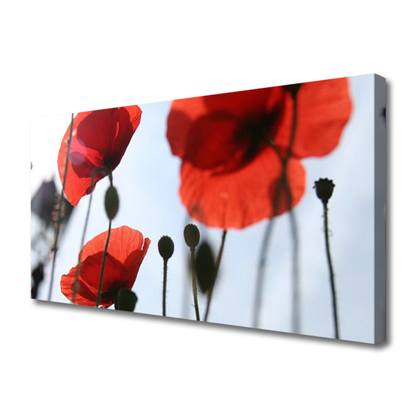 Canvas Kunstdruck Mohnblumen Pflanzen